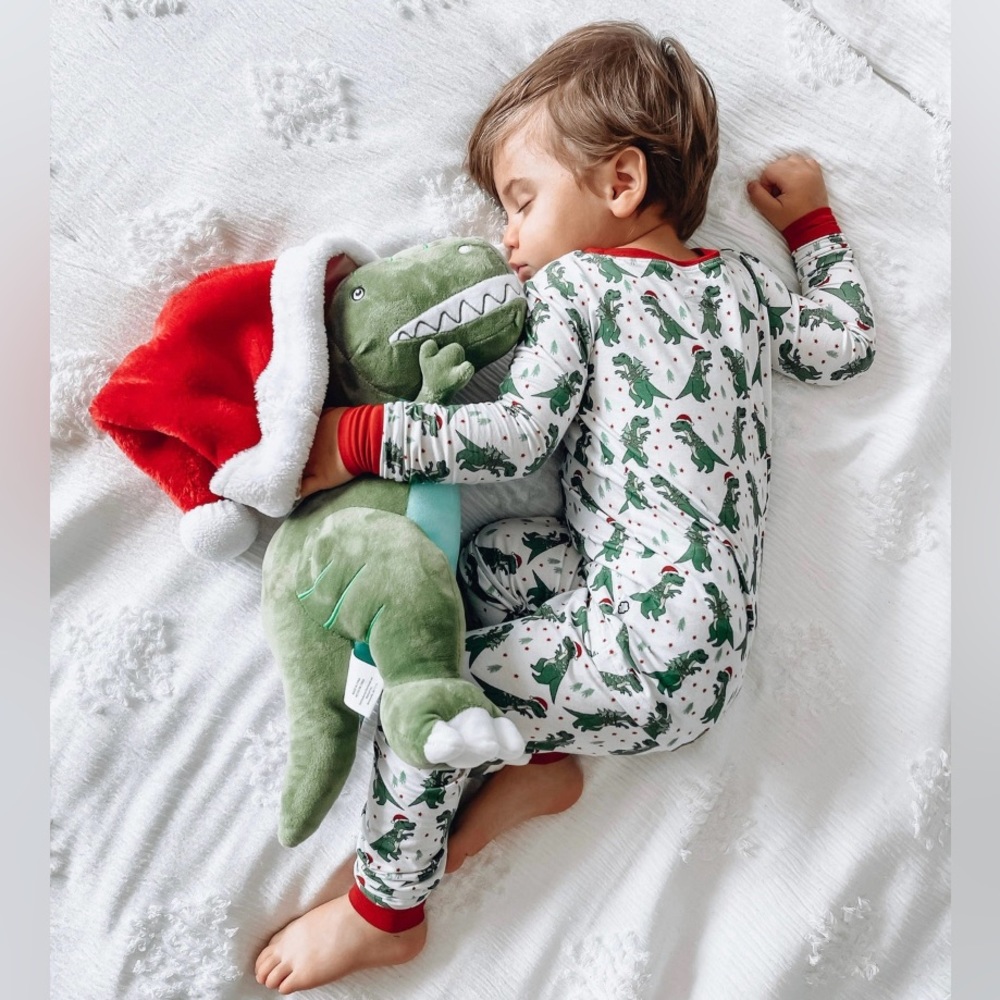🦖Like New Bamboo Pj Set🦖
